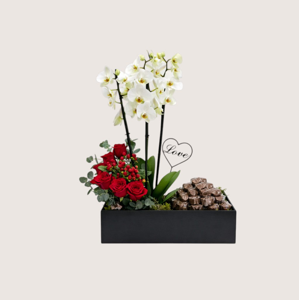 Holland Orchid 19
