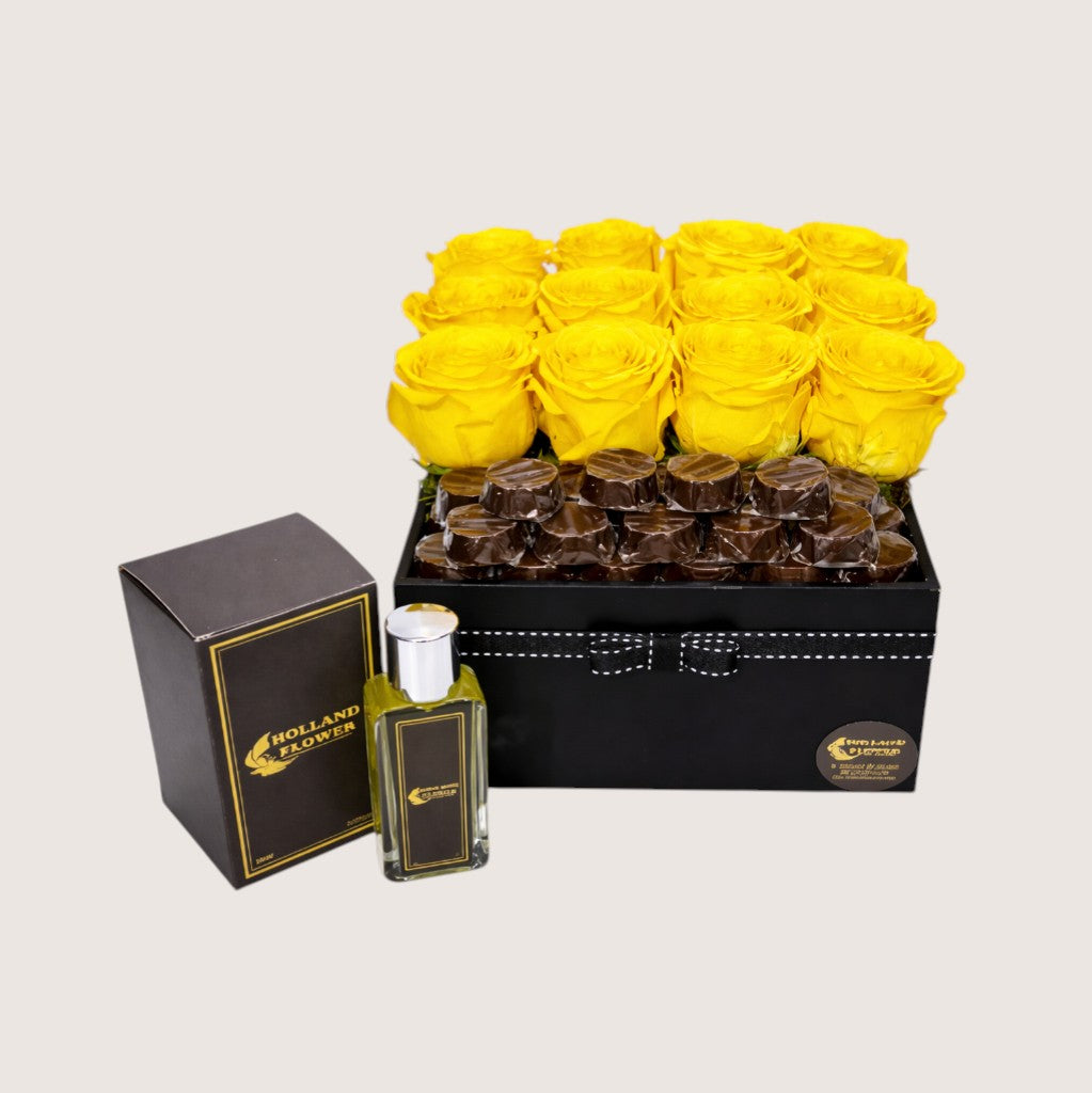 Holland Yellow Box 4