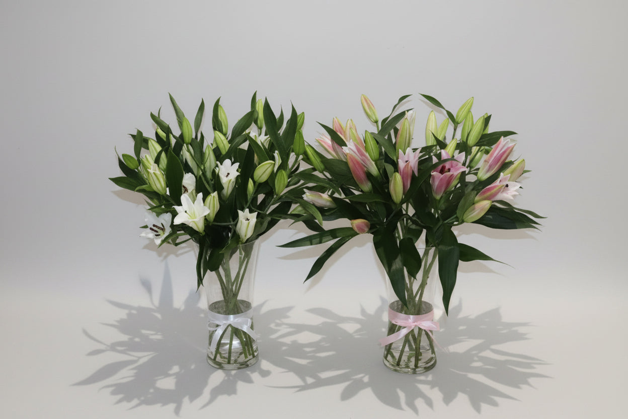 lilium combo pink and white