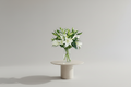 Bouquet of white lilies in a clear vase against a gray background