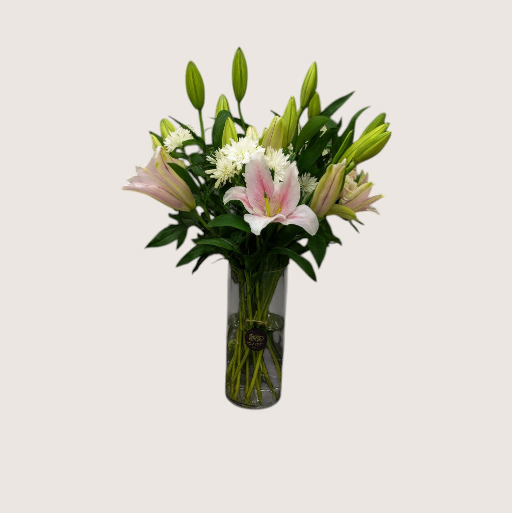 Pink Lilium Baby