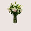Pink Lilium New Style
