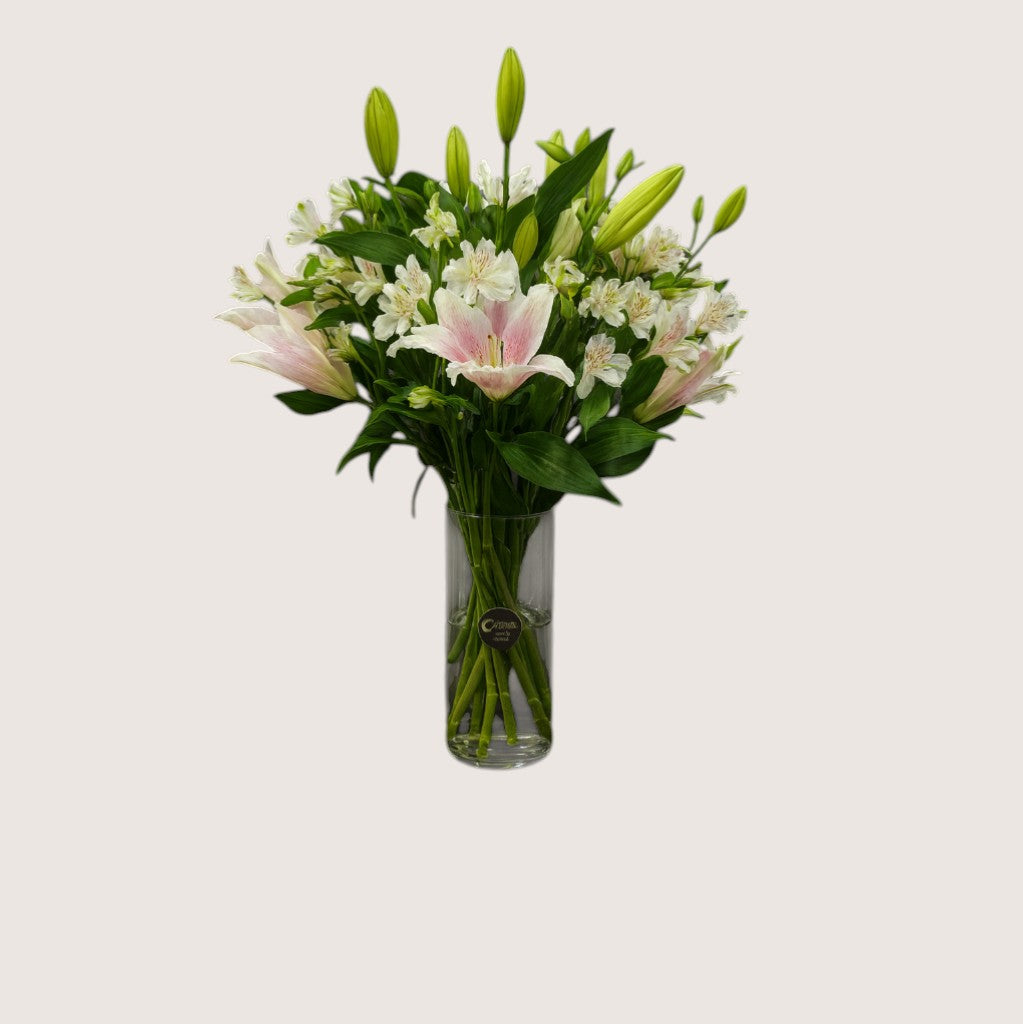 Pink Lilium New Style