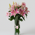 lilium 2