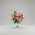 lilium 4
