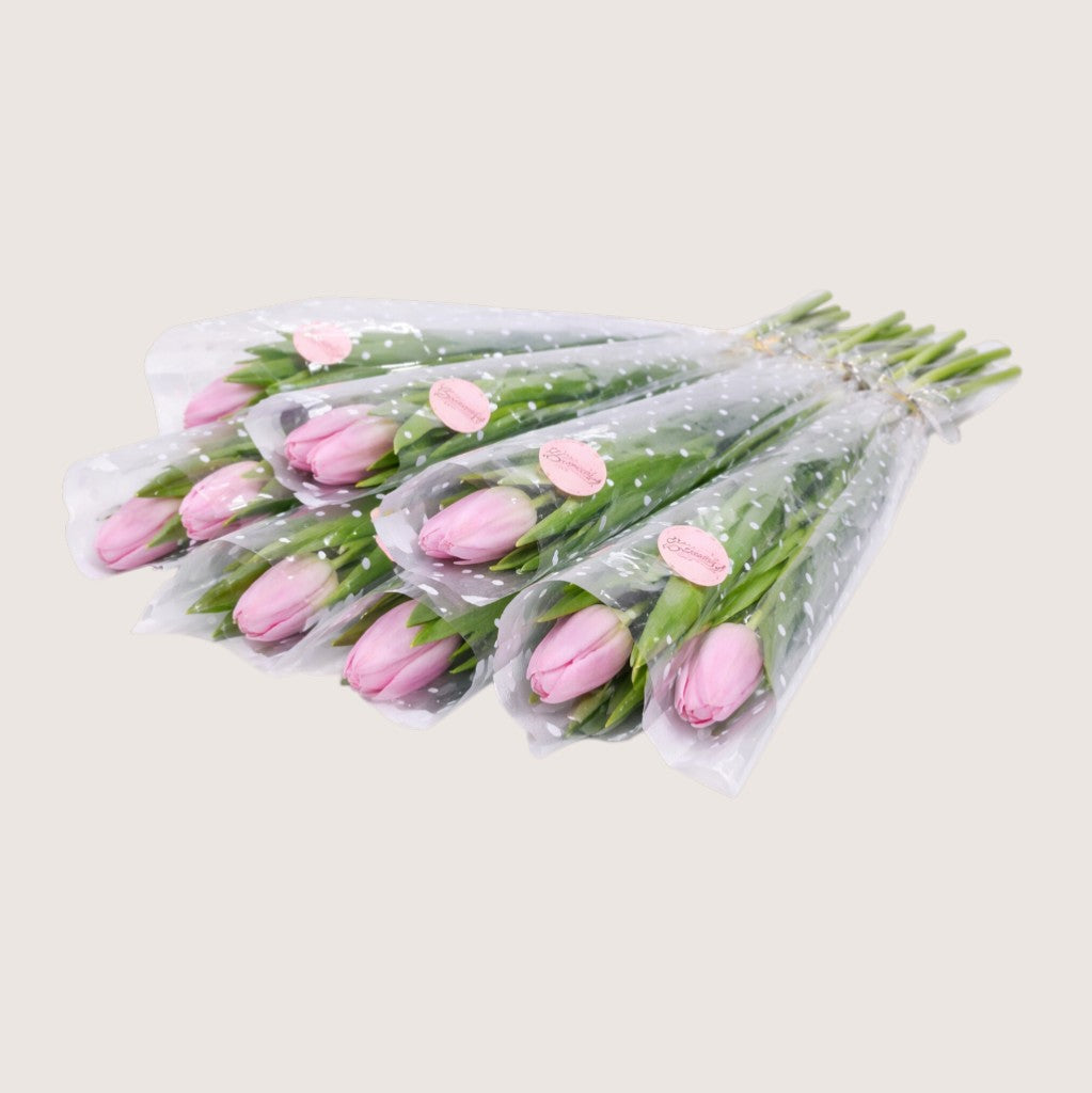 Pink Single Tulips 10