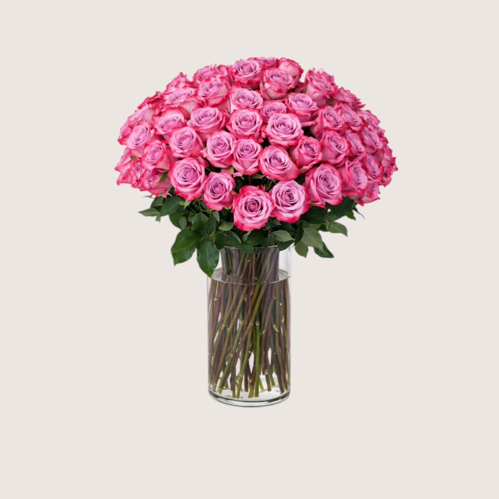Vase with 50 Deep Purple Roses