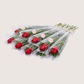 Red Single Tulips 10