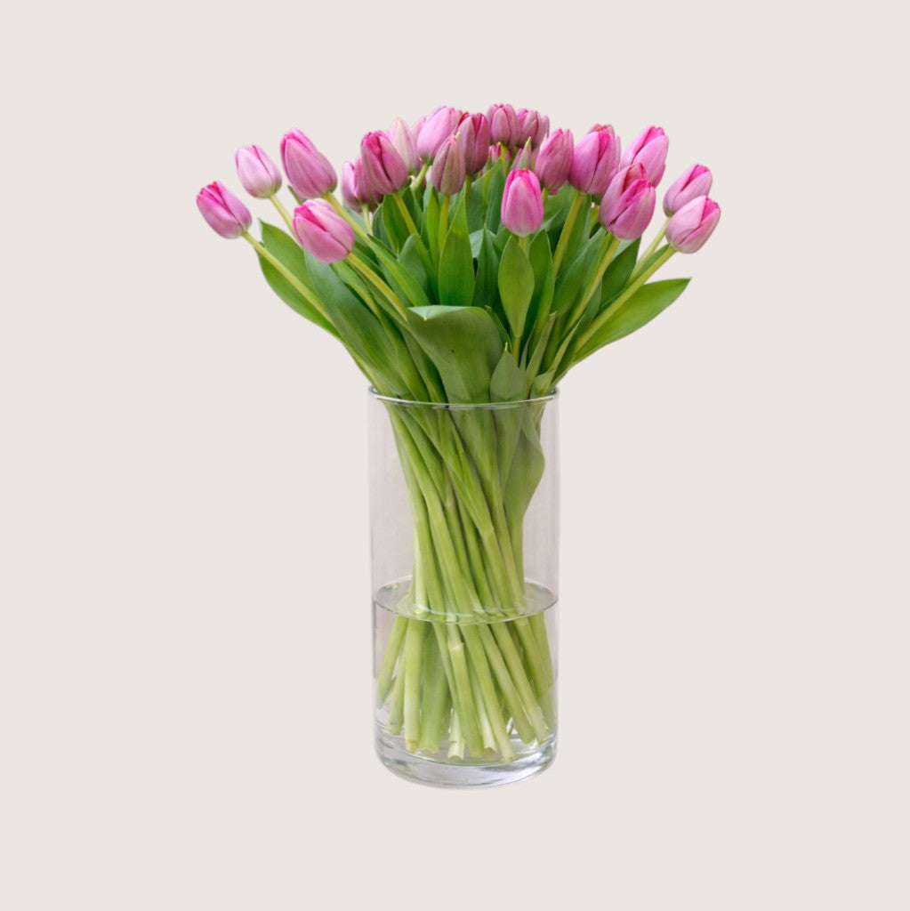 Glass Vase with 20 Pink Tulips