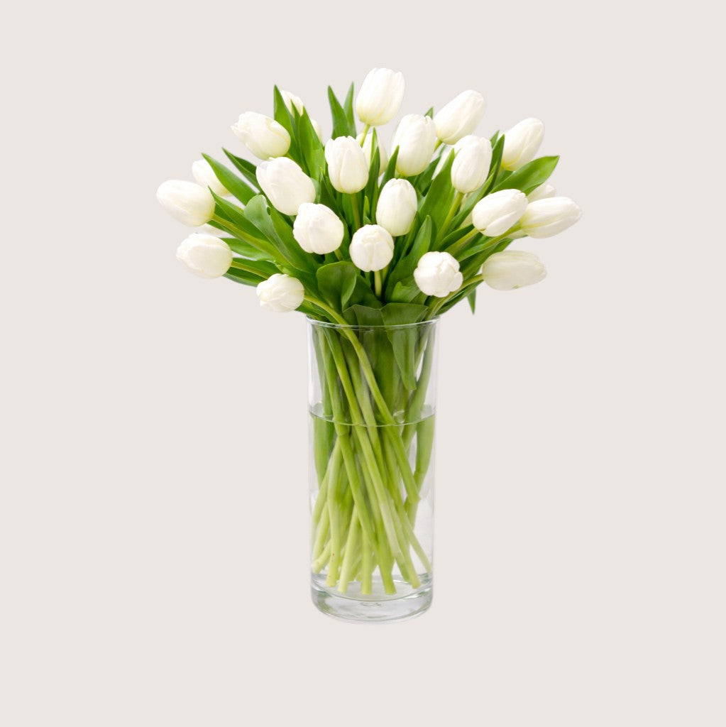 Glass Vase with 20 White Tulips