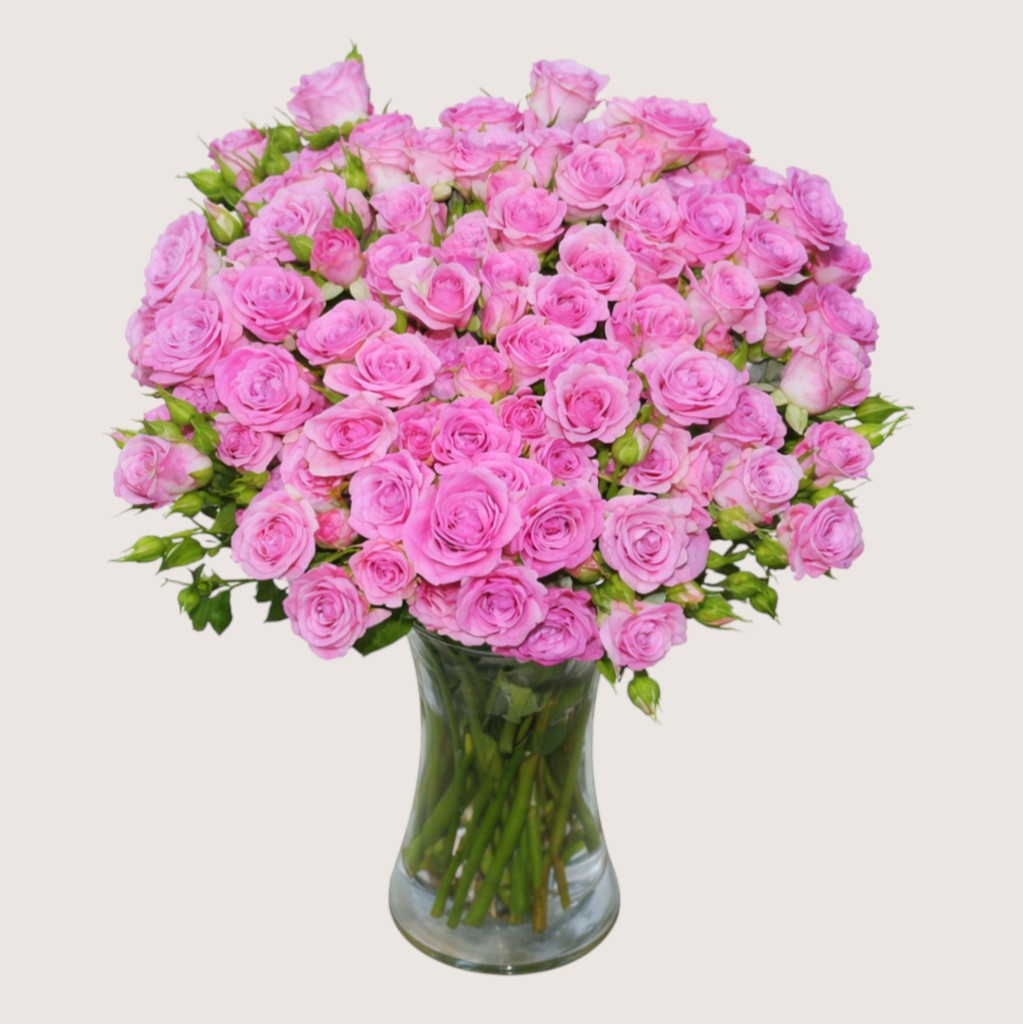 Pink Baby Roses 30 pc - Vase