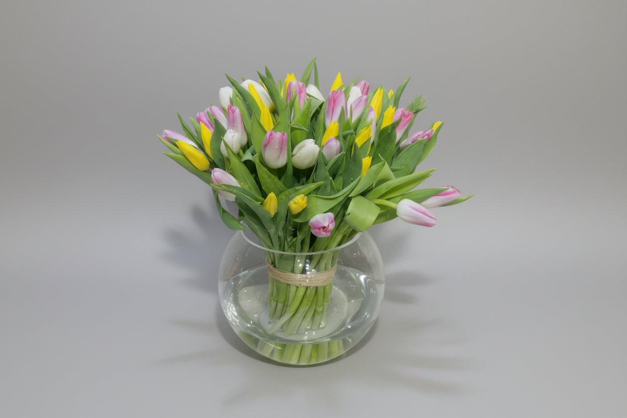 mix 50 tulips vase