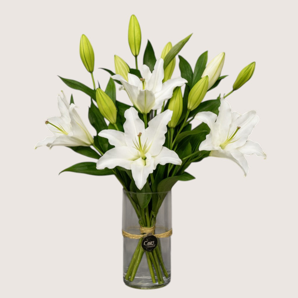 White Lilium Vase