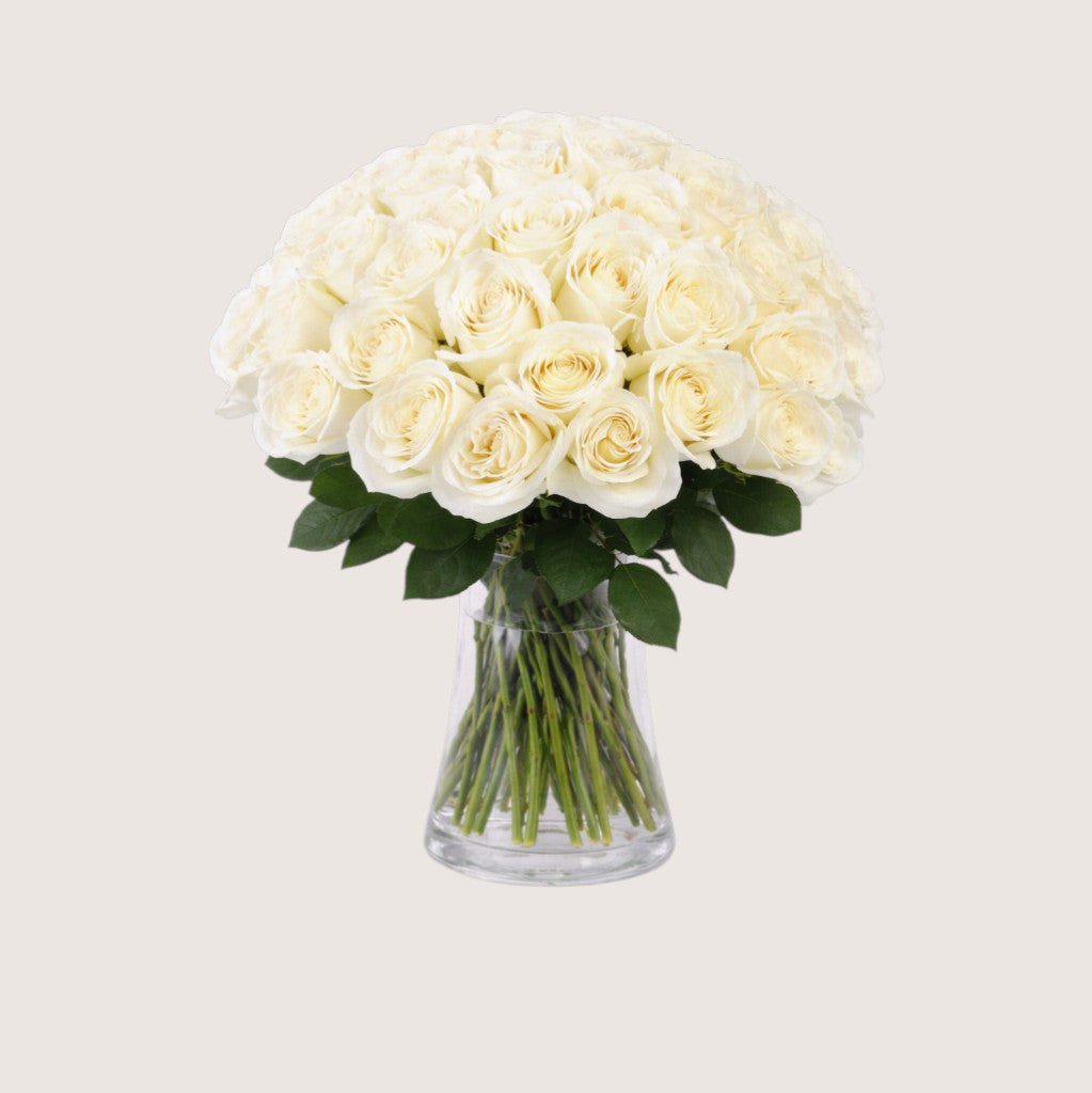 Vase with 50 White Roses