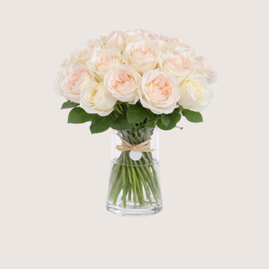 Vase with 25 White Roses
