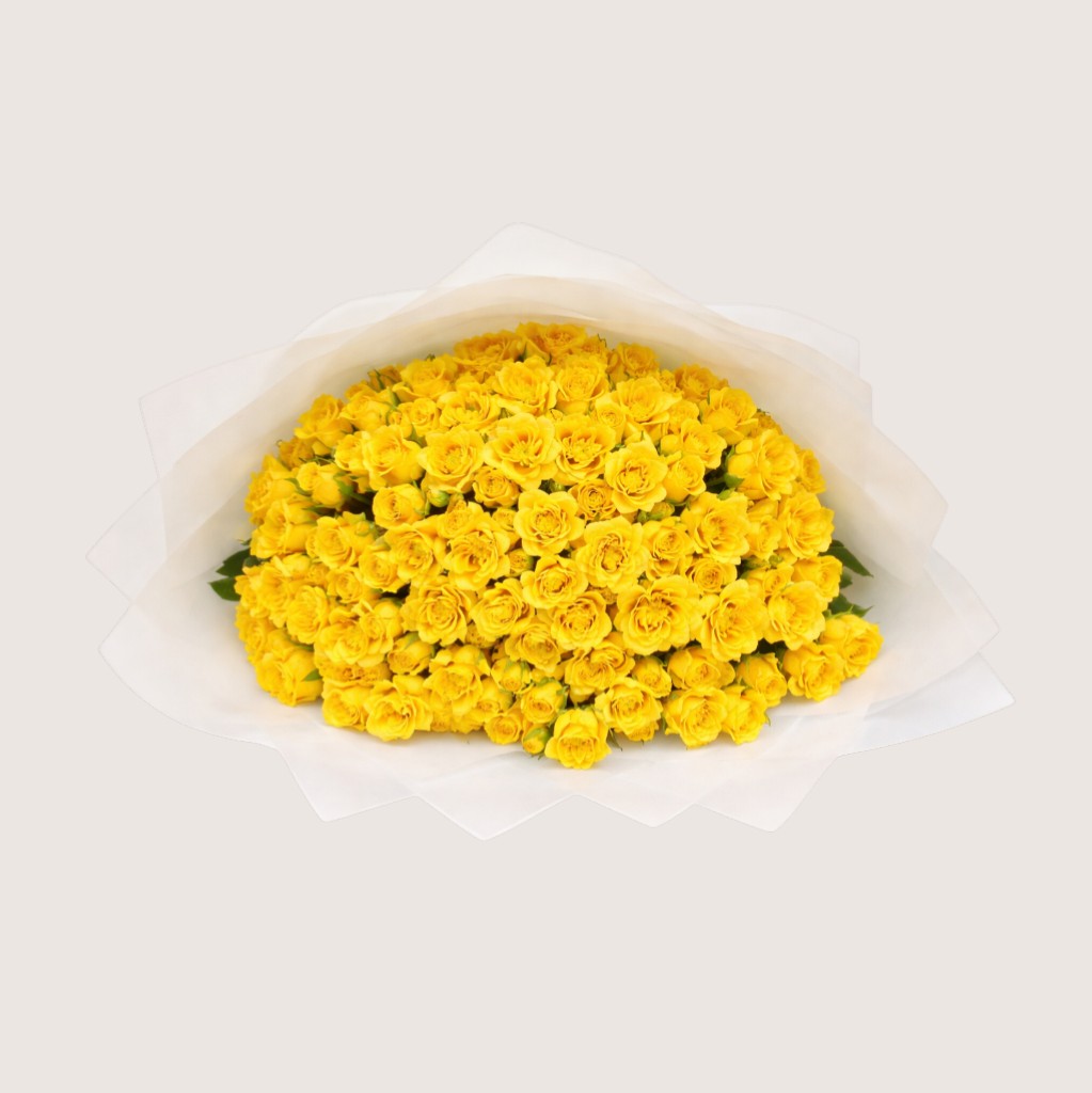 Yellow Baby Ross Flowers